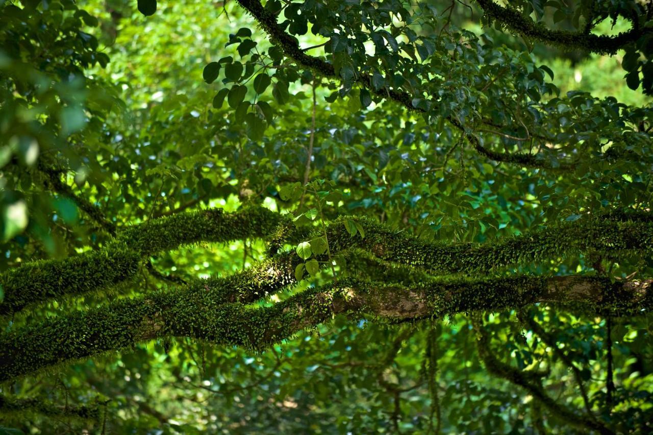 Bali B&B Hengshan Exteriör bild